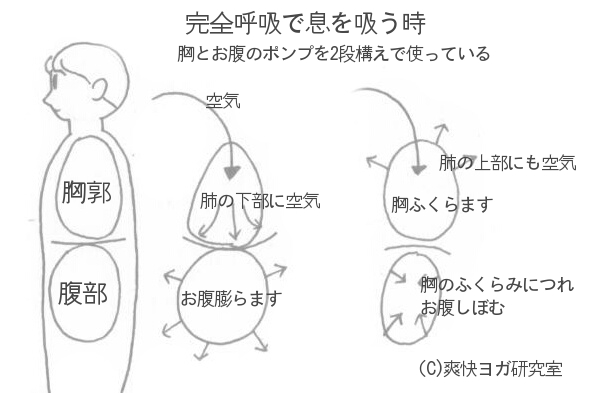 ヨガ研究 2 爽快ヨガ研究室 ネットでヨガ配信