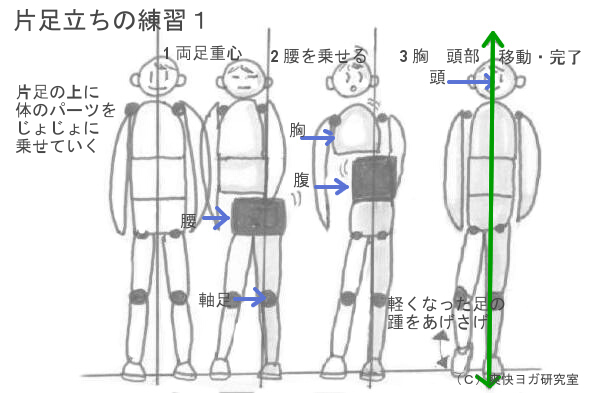 片足立ちのポーズの練習１ 基礎ヨガ 爽快ヨガ研究室 ネットでヨガ配信